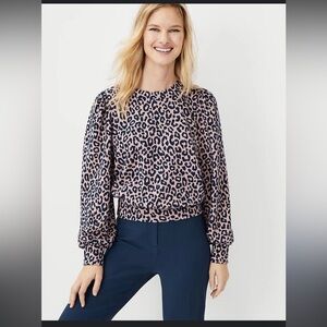 Ann Taylor leopard sweater